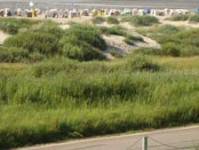 Norddeich Sommer 2013